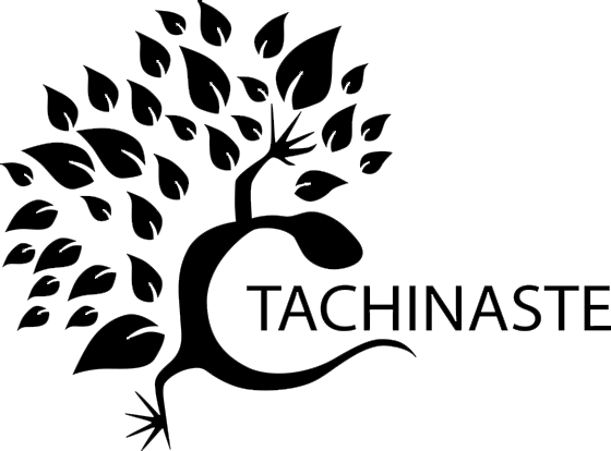 logo tachinaste